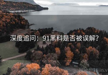 深度追问：91黑料是否被误解？