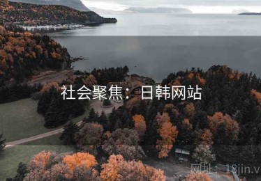 社会聚焦：日韩网站