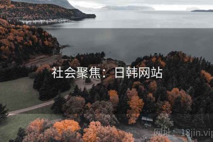 社会聚焦：日韩网站
