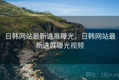 日韩网站最新进展曝光，日韩网站最新进展曝光视频