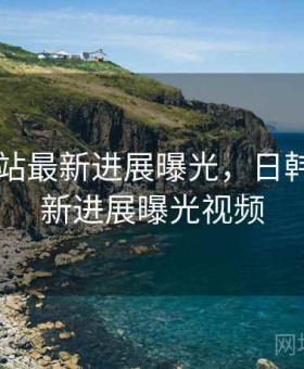 日韩网站最新进展曝光，日韩网站最新进展曝光视频