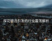 探花精选引发的行业震荡解析