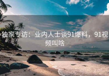 独家专访：业内人士谈91爆料，91视频叫啥