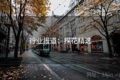 行业报道：探花精选