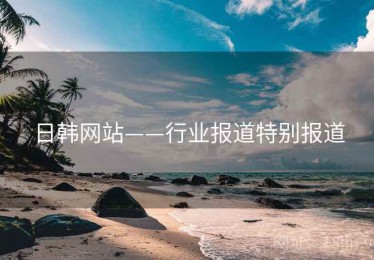 日韩网站——行业报道特别报道