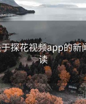 736个关于探花视频app的新闻聚焦解读