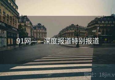 91网——深度报道特别报道