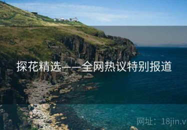 探花精选——全网热议特别报道