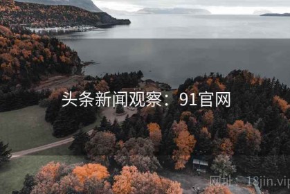 头条新闻观察：91官网