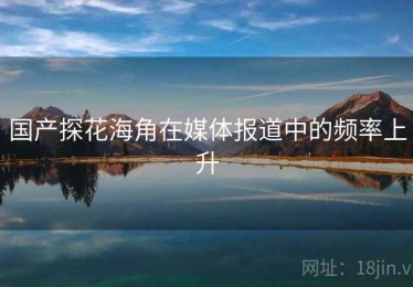国产探花海角在媒体报道中的频率上升
