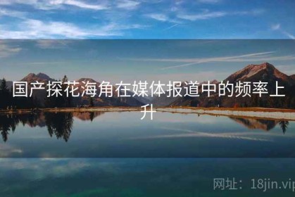 国产探花海角在媒体报道中的频率上升