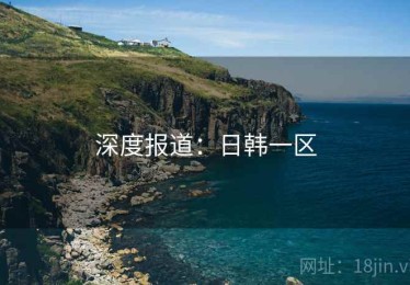 深度报道：日韩一区
