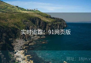 实时追踪：91网页版
