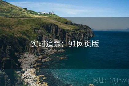 实时追踪：91网页版
