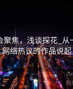 探花社会聚焦，浅谈探花_从一部引起网络热议的作品说起