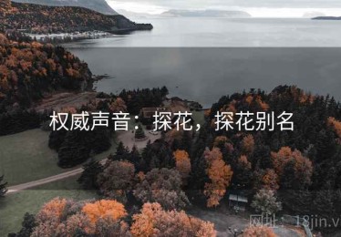 权威声音：探花，探花别名