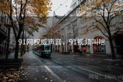 91网权威声音，91视频叫啥