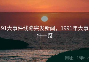 91大事件线路突发新闻，1991年大事件一览