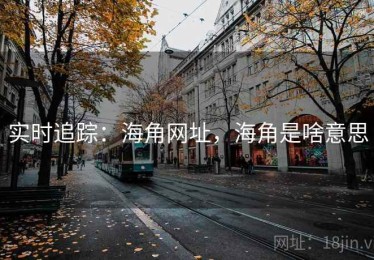 实时追踪：海角网址，海角是啥意思