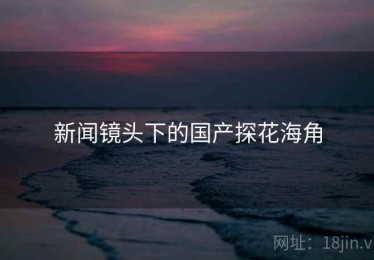 新闻镜头下的国产探花海角