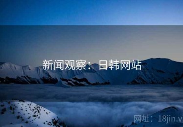 新闻观察：日韩网站