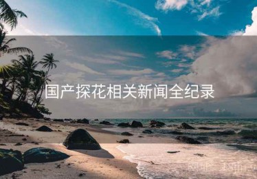 国产探花相关新闻全纪录