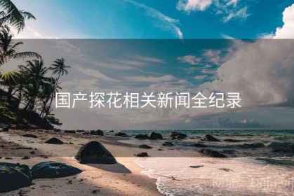 国产探花相关新闻全纪录