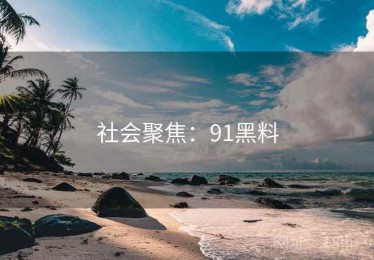 社会聚焦：91黑料