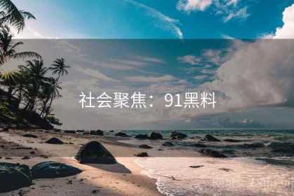社会聚焦：91黑料