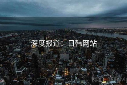 深度报道：日韩网站