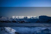 新闻追踪：探花视频