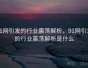 91网引发的行业震荡解析，91网引发的行业震荡解析是什么