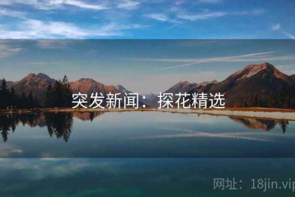 突发新闻：探花精选