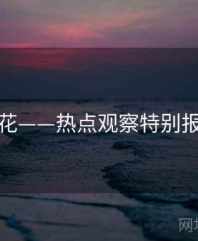 探花——热点观察特别报道