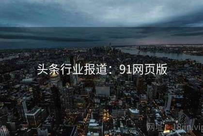 头条行业报道：91网页版
