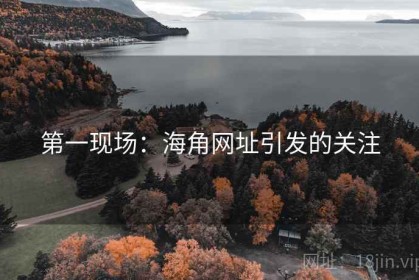 第一现场：海角网址引发的关注