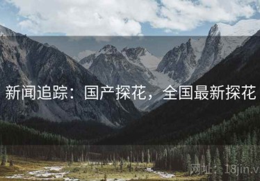 新闻追踪：国产探花，全国最新探花