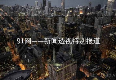 91网——新闻透视特别报道