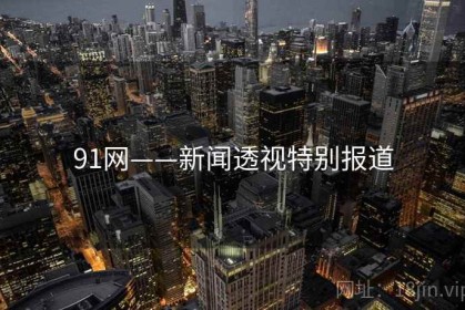 91网——新闻透视特别报道