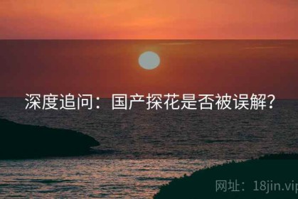 深度追问：国产探花是否被误解？