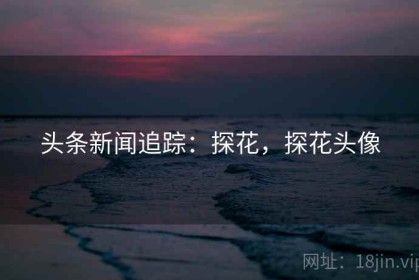 头条新闻追踪：探花，探花头像