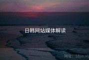 日韩网站媒体解读