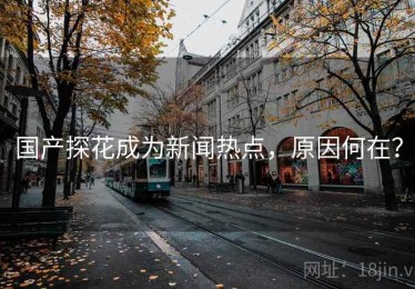 国产探花成为新闻热点，原因何在？