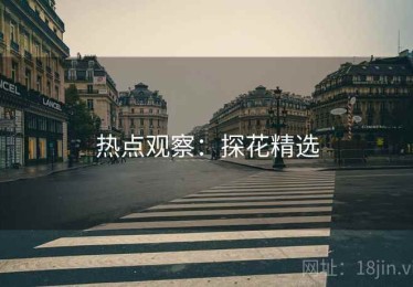 热点观察：探花精选