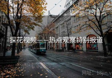 探花视频——热点观察特别报道