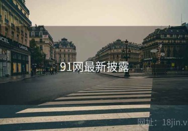 91网最新披露