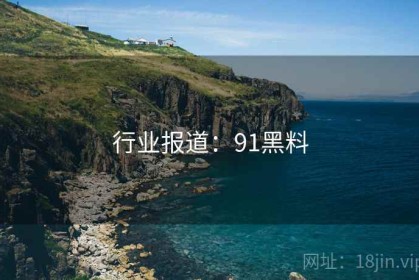 行业报道：91黑料