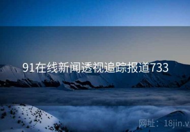 91在线新闻透视追踪报道733