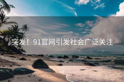 突发！91官网引发社会广泛关注