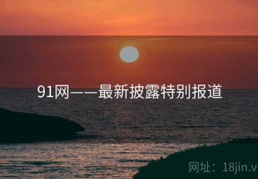 91网——最新披露特别报道